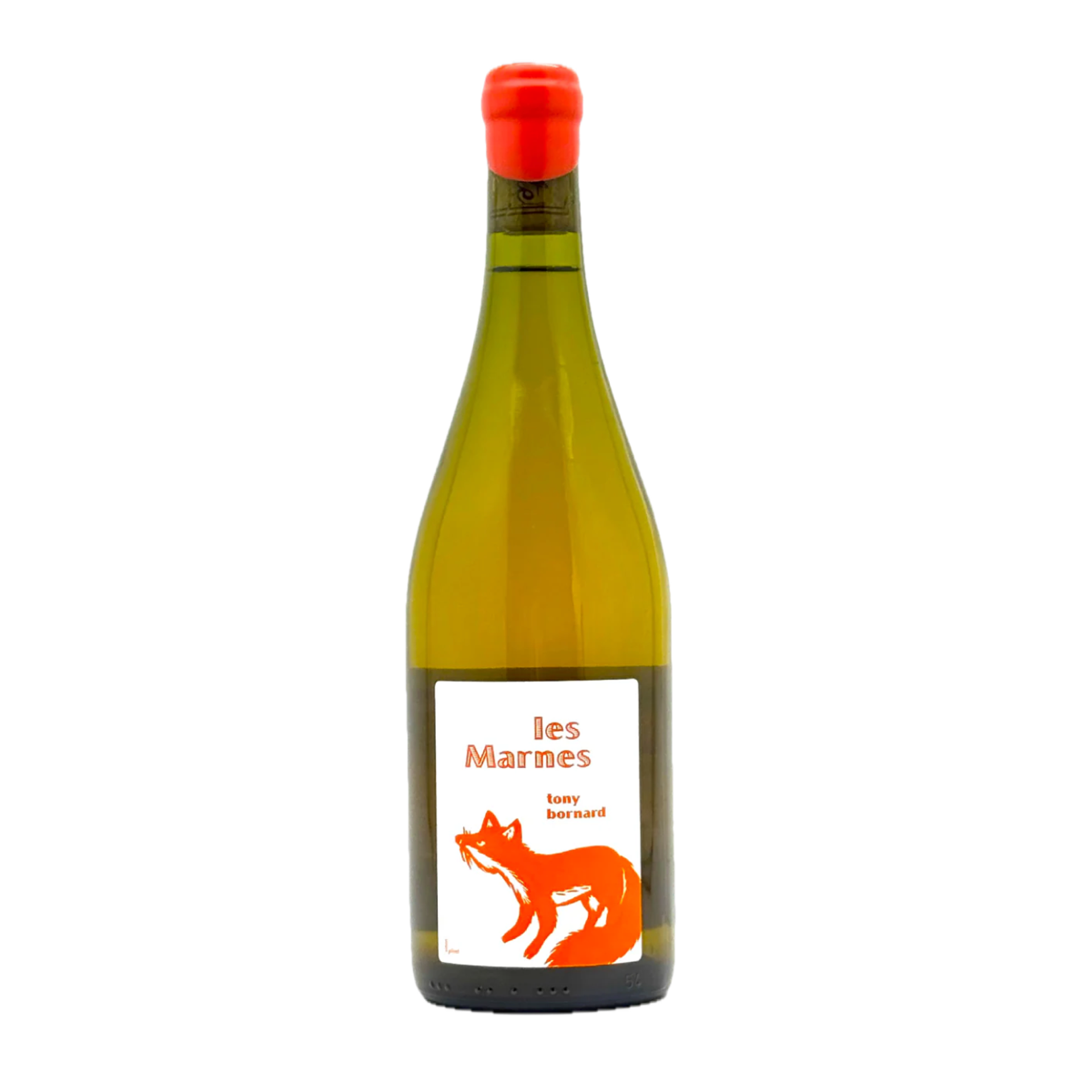 Tony Bornard Les Marnes 2018