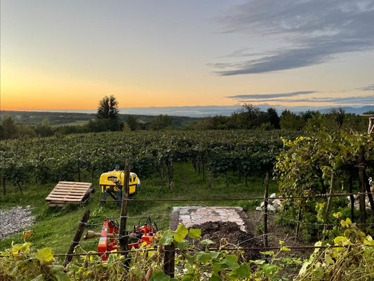 Harvest in the Cradle of Wine - Part One