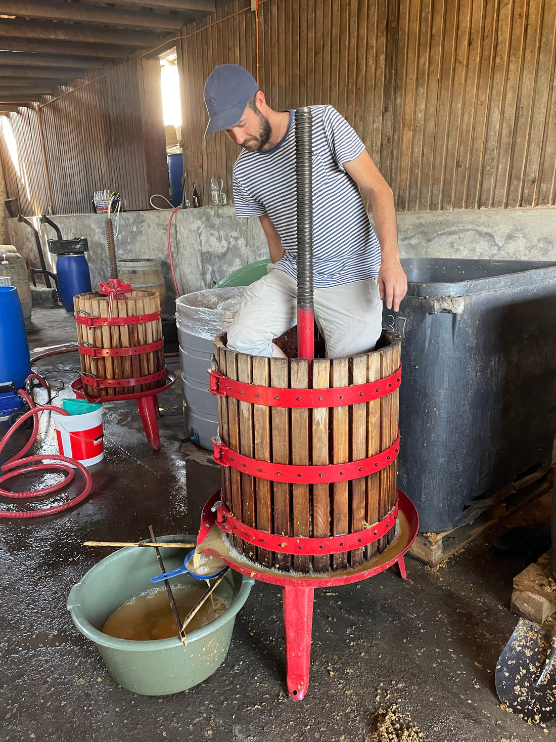 Ignacio Pino Román - Itata, Chile