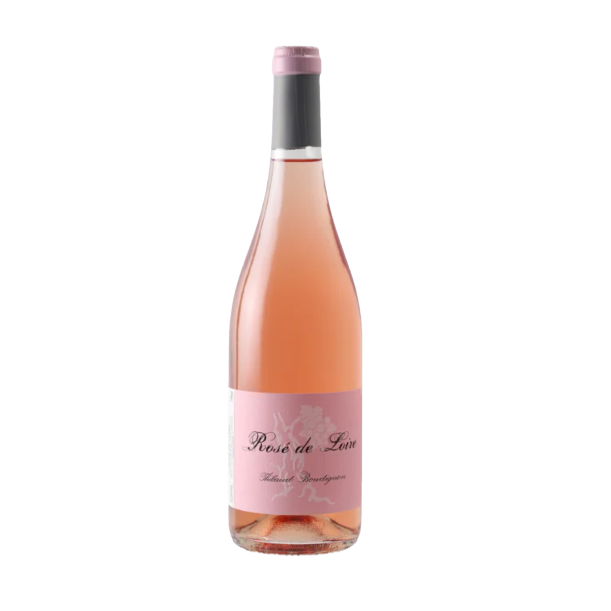 Thibaud Boudignon Rosé de Loire 2024